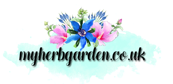 My Herb Garden